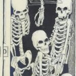 Three skeletons